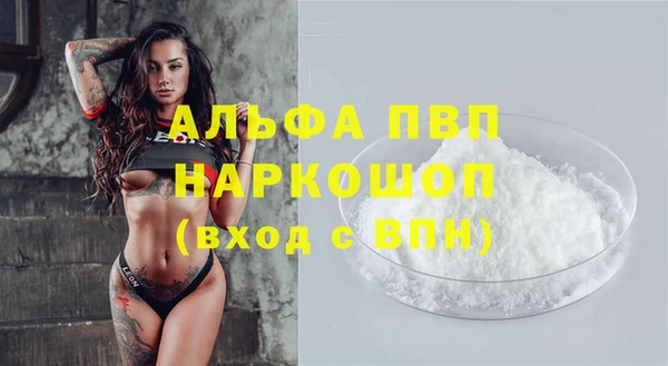 амф Вяземский