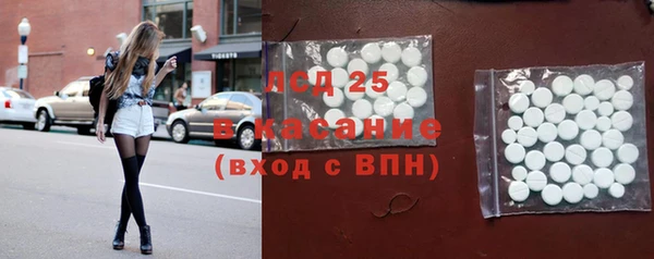 амф Вяземский