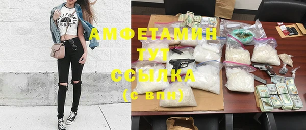 амф Вяземский
