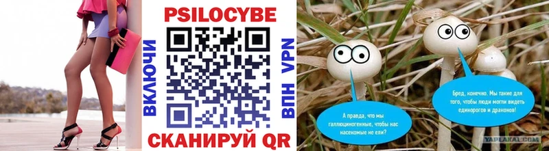 Купить закладки  Ивдель  Псилоцибиновые грибы Cubensis 